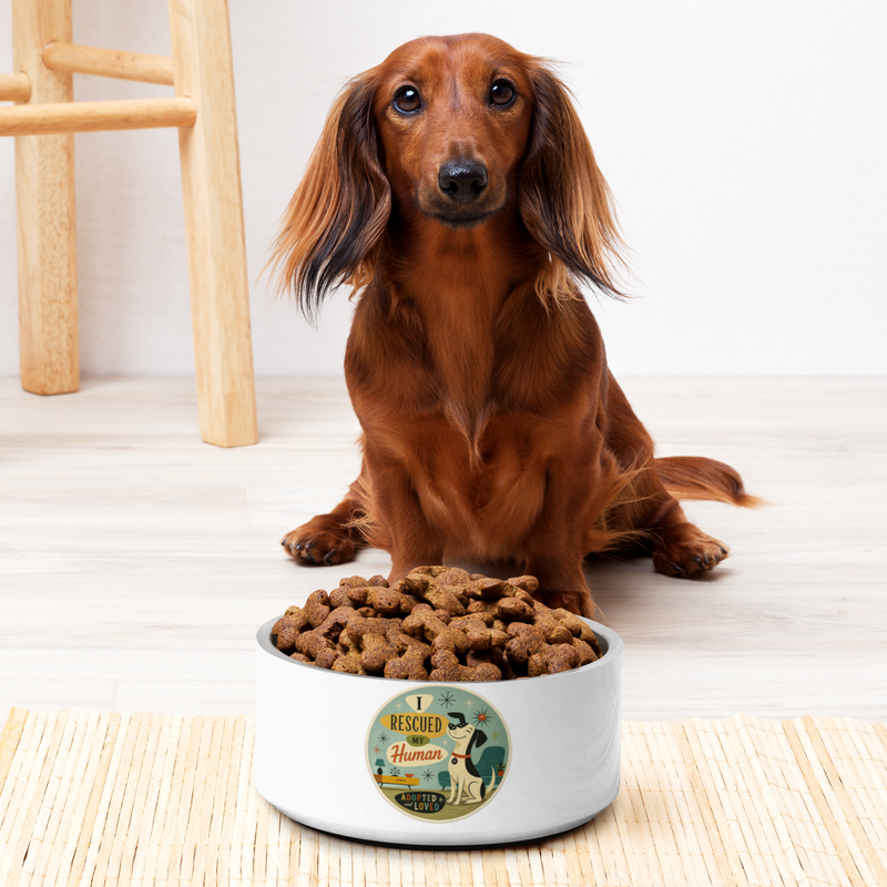 I Rescued My Human Pet Bowl